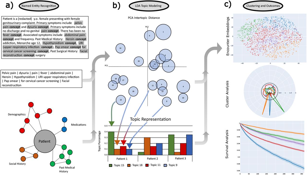 Workflow a) Entity extraction with clinical concept extraction using the trained MedCat model. Structured data labels combined with identified entities to complete the feature set. b) LDA Topic modeling of the extracted features converted to patient presentation embeddings. c) Clustering of topics, and outcomes analysis.