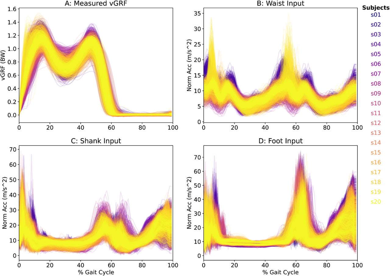 Here we show the target vGRF signal (A) and input vector magnitude acceleration waveforms (B-D) used to estimate vGRF for 100 steps (50 left, 50 right) for all subjects (separated by color).