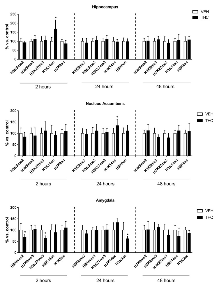 Effect of adult Δ9-THC exposure on histone modifications occurring in the hippocampus, nucleus accumbens, and amygdala of female rats 2, 24, and 48 h after the last Δ9-THC or vehicle (VEH) injection. Data are expressed as mean ± SD of at least five animals for each experimental group. * p < 0.05 versus controls (Student’s t-test analysis).