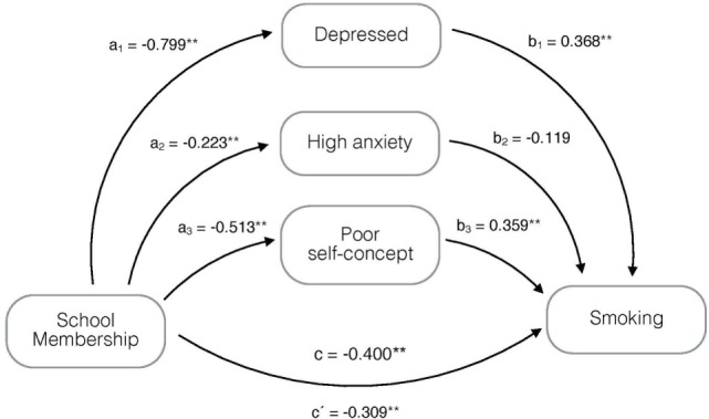 Mediation model, adjusted for age and gender, on the association of school membership with smoking and possible mediation by being depressed, having high anxiety and poor self-concept. *p < 0.05, **p ≤ 0.001; a1–a3, b1–b3, c = regression coefficients; and c′ = regression coefficient between the independent variable and dependent variable adjusted by the mediating effect.