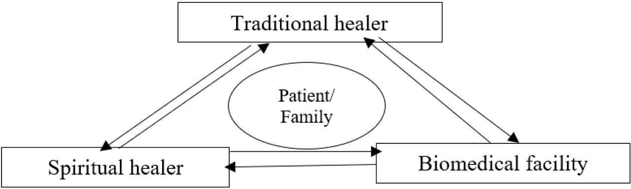 Health seeking behaviour of people with FGS