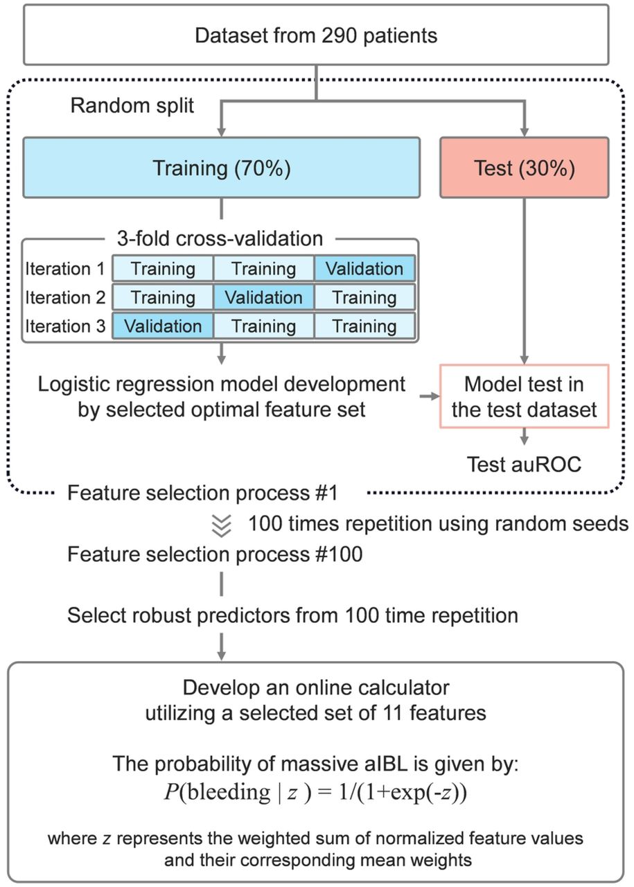 The study workflow and methodological process.