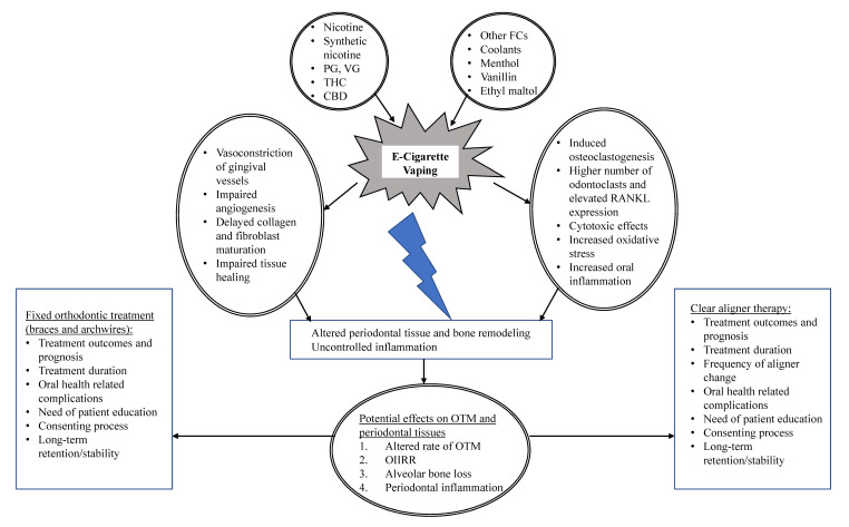 E-cigarette vaping as a risk factor for potential complications during orthodontically-induced tooth movement. Possible biological mechanisms and clinical considerations. Abbreviations: VG, vegetable glycerin; PG, propylene glycol; CBD, cannabidiol; THC, tetrahydrocannabinol; FC, flavoring chemicals; RANKL, receptor activator of nuclear factor kappa-Β ligand, OTM, orthodontic tooth movement; OIIRR, orthodontically-induced inflammatory root resorption.