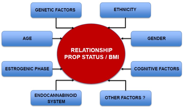 Graphic diagram showing variables so far identified that influence the relationship between PROP taste sensitivity and BMI.