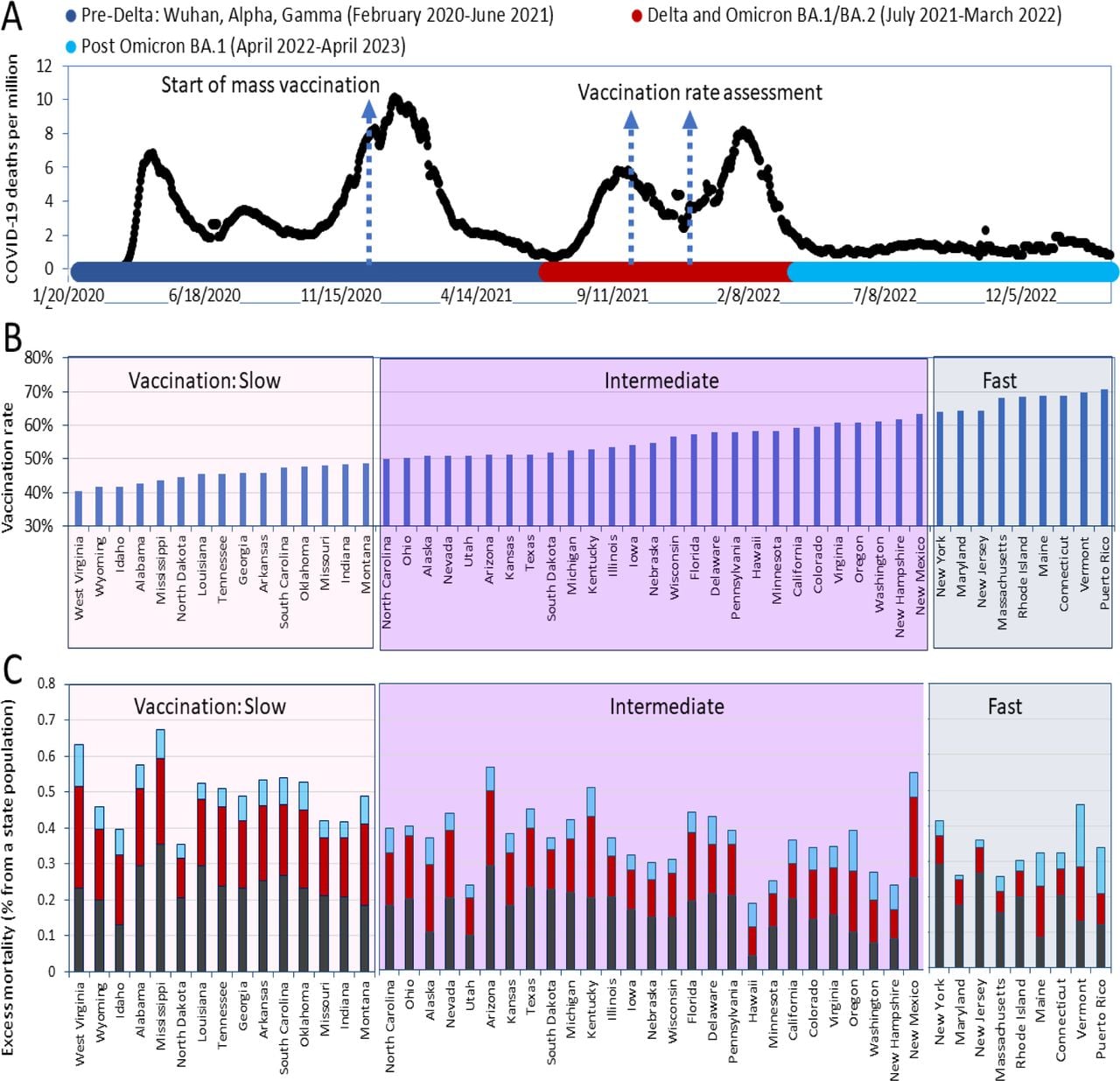 Visualization of pandemic mortality waves/periods and vaccination rates(A) A timeline of daily diagnosed COVID-19 deaths was created using the OWID database and presented along with a scheme of the dominant virus variants causing infections. (B) States were categorized into three groups based on their vaccination coverage in ascending order by October 2021. The “fast” category (light blue background) consists of states that had achieved a vaccination rate of 60% for residents by October 2021 and 70% by January 2022. The “slow” category (light pink background) includes states in which more than half of the residents remained unvaccinated as of October 2021. The remaining states are placed in the intermediate category (with a purple background). All states and Puerto Rico are shown in the order of the increasing percentage of the state population that had received the primary series of the vaccine as of October 2, 2021. (C) Pandemic excess mortality not adjusted for age relative to the state’s population in different pandemic periods.