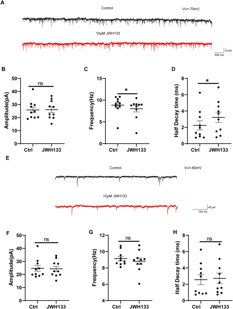 The regulation of JWH133 on miniature excitatory/inhibitory postsynaptic current. (A) Typical traces showed the mEPSCs in the presence of TTX (1 μm) before (top trace) and after (bottom trace) JWH133 exposure. (B–D) Statistical analysis showed the influence of JWH133 on the frequency (n = 10, t = 3.146, df = 9, P < 0.05, Figure 4C), half-decay time (n = 10, t = 2.370, df = 9, P < 0.05, Figure 4D) and amplitude (n = 10, t = 0.09425, df = 9, P > 0.05, Figure 4B) of mEPSCs. (E) Typical traces of mIPSCs in the presence of NBQX (10 μM) and AP-5 (50 μM) before (top trace) and after (bottom trace) JWH133 (10 μmol/L) exposure using the whole cell patch-clamp recording in SNc slice. Cumulative probability analysis for mIPSC inter-event interval and amplitude under control conditions (baseline) and JWH133 exposure. (F–H). Comparison of mIPSC frequency, amplitude and half decay time before and after JWH133 exposure from SN slices tested (Amplitude: t = 0.1849, df = 9, P > 0.05; Frequency: t = 0.8929, df = 9, P > 0.05; Half decay time: t = 0.2911, df = 9, P > 0.05).