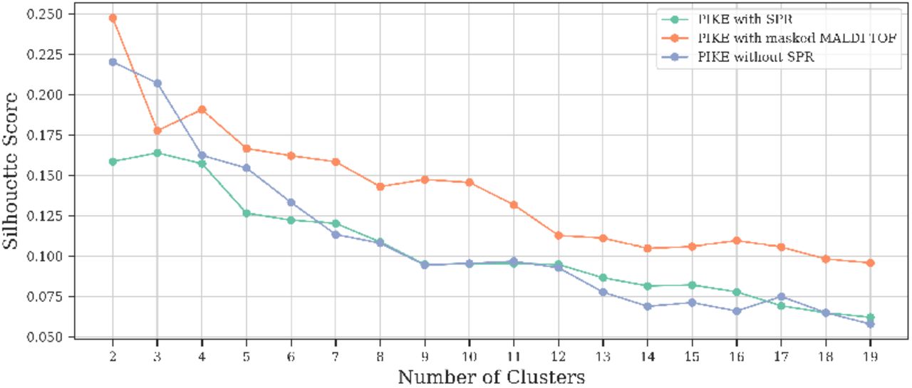 Silhouette score evolution with 20 clusters for all possible kernelization pipelines.