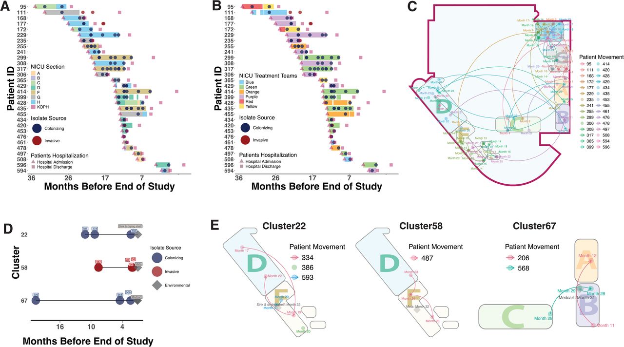 Geospatial and temporal analysis of NICU transmission dynamics and persistence of environmental reservoirs Fig 3(A-B) Temporal analysis of Cluster 1 by location and treatment team assignments. (A) Patient timeline showing NICU sections (colored rectangles), with admission (triangles) and discharge dates (squares). (B) Corresponding treatment team assignments over time (colored rectangles). In both A and B panels, sampling events are indicated by dots (red: invasive isolates; blue: colonizing isolates). (C) NICU floorplan visualization of patient movements. Geospatial and temporal proximity serves as the primary driver of transmission, as visualized in the floorplan. This visualization reveals that certain NICU sections had a high concentration of patient movements, posing increased risk for transmission and infection. (D) Temporal distribution of isolate sampling (red dot: invasive, blue dot: colonizing, grey diamond: environmental), demonstrating the prolonged persistence of environmental reservoirs. (E) Spatial mapping of environmental reservoirs (grey squares) relative to patient movement within the clusters. For Panel A, B, and D, X-axis (Months Before End of Study) represents the number of months remaining until the study period concludes.