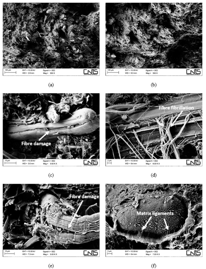 SEM micrographs detailing the fracture surface of aged composites, reinforced with 30 wt % of hemp fibres without (a,c,e) and with (b,d,f) a coupling agent.