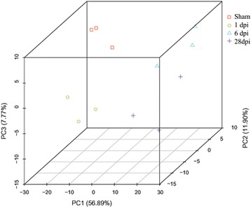 PCA analysis of the expressed transcripts. PCA analysis with three principal components (PC1, 2, and 3) was performed to demonstrate the source of variance in our data (n = 3)