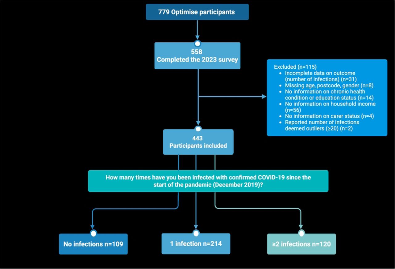 Flowchart of participants included in this study.