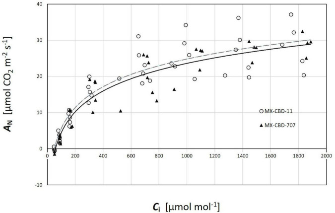Photosynthetic CO2 response (ACi) curves of two breeding populations of medical cannabis MX-CBD-11 and MX-CBD-707. The data points indicate measurements on individual plants (5 plants of each population).