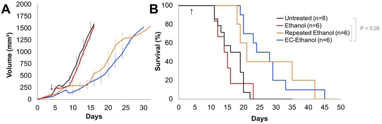 Increased Survival following 6% EC-ethanol Injections Compared to the Same Dose of Pure Ethanol:(E) Average tumor growth for all groups. (F) Kaplan-Meier survival probability. Arrow indicate first day of treatment. Log-rank test on Kaplan-Meier survival curves, pair-wise P<0.05, all other pairs n.s.