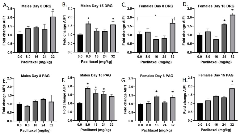 Paclitaxel increases expression of Aif1 in DRG (A–D) and PAG (E–H) of male and female C57Bl/6 mice. Mice are treated with vehicle or increasing doses of paclitaxel on Days 1, 3, 5, and 7 in a between-subjects design (n = 3–5/group). Mice are euthanized on Day 8 or 15 and tissues are harvested for RT-PCR analysis. One-way ANOVAs with Dunnett’s multiple comparison tests; * = p < 0.05 as compared with saline.