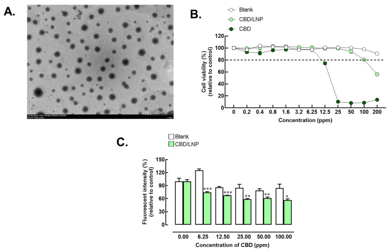 Characteristics, cytotoxicity, and antioxidant activity of cannabidiol-loaded lipid nanoparticles (CBD/LNPs). (A) Morphology of CBD/LNPs as demonstrated by Transmission Electron Microscopy (TEM); (B) Cell viability relative to the control in fibroblast-cultured cells exposed to CBD/LNPs; (C) Radical oxidative stress levels induced by hydrogen peroxide exposure were measured by the fluorescent intensity of dichlorofluorescein (DCF) relative to the control group, referring to untreated cells exposed only to the medium without any treatment. The analysis was conducted in fibroblast cultures treated with CBD/LNPs. Data are expressed as mean ± SEM (n = 4). * p < 0.05, ** p < 0.01, and *** p < 0.001 compared to the blank group.