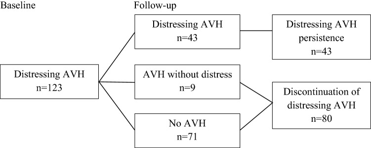 Flowchart outlining the follow-up groups
