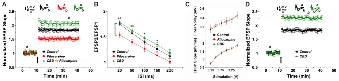 Cannabidiol (CBD) restores long term potentiation (LTP) in pilocarpine treated animals. (A) LTP tested 24 h following status epilepticus (SE). A systemic injection of 30 mg/kg CBD rescues LTP in pilocarpine treated animals. (B) There was a reduction in paired pulse potentiation by pilocarpine, but a marginal facilitating effect of CBD, at all paired pulse intervals (*p < 0.05, **p < 0.01). (C) No difference in input/output relations, measured either in the fiber volley (top) or EPSP slopes (bottom). (D) CBD applied to naïve mice also caused an increase in LTP production. Averaged EPSP are plotted vs. time. Representative traces at indicated times (a,b) are shown on top of each section, n = 12 slices for each experiment, refer to text for statistics.