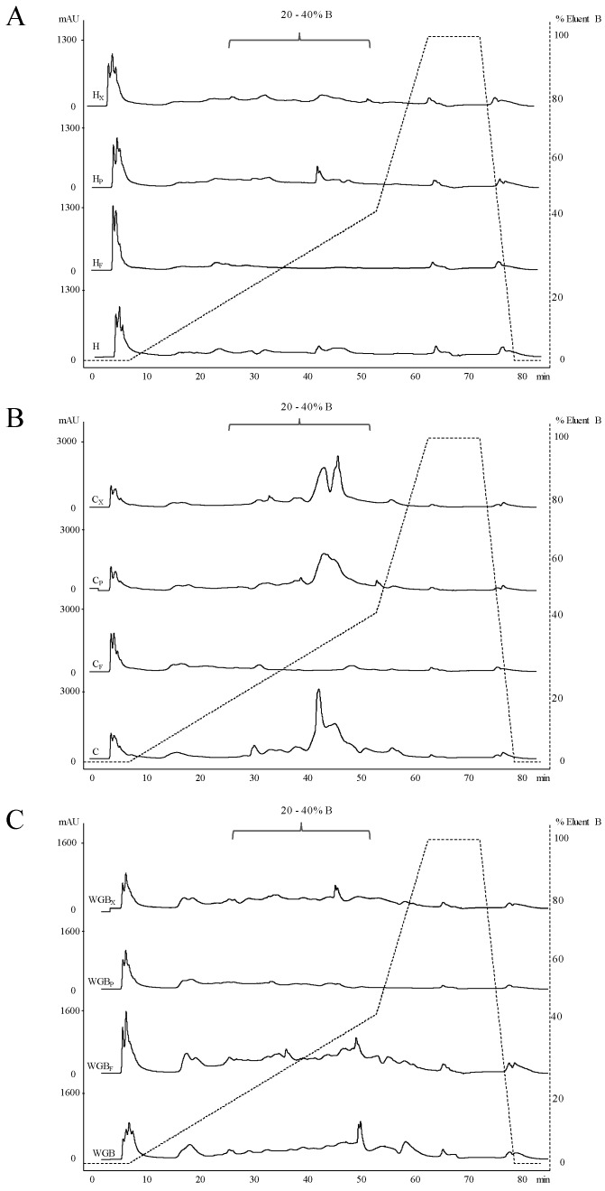 Reversed-Phase Fast Performance Liquid Chromatography (RP-FPLC) peptide profiles of hemp, chickpea and wheat germ/bran doughs. (A): H, untreated hemp dough; HF, fermented hemp dough; HP, hemp dough treated with proteases (E1/E2); HX, hemp dough treated with xylanase (Depol 761P). (B): C, untreated chickpea dough; CF, fermented chickpea dough; CP, chickpea dough treated with proteases (E1/E2); CX, chickpea dough treated with xylanase (Depol 761P). (C): WGB, untreated wheat germ/bran (1:4) dough; WGBF, fermented wheat germ/bran (1:4) dough; WGBP, wheat germ/bran (1:4) dough treated with proteases (E1/E2); WGBX, wheat germ/bran (1:4) dough treated with xylanase (Depol 761P).