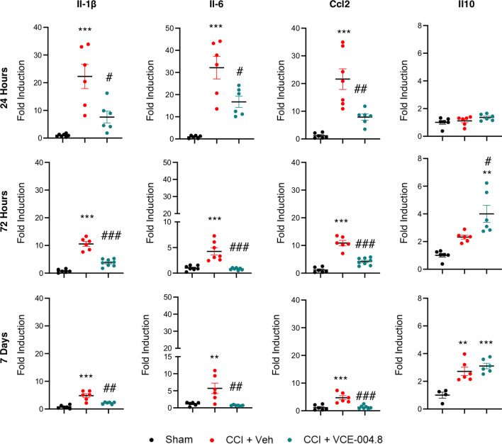 VCE-004.8 attenuates the expression of inflammatory cytokines in TBI. The mRNA expression for inflammatory markers in the pericontusional cortex (Il-1β, Il-6, Ccl2 and Il10) was quantified by qPCR and normalized versus Ppia at 24 h, 72 h and 7 days. Data are represented as mean ± SEM, and significance was determined by one-way ANOVA followed by the Tukey’s post hoc test. Il-1β (24 h: p = 0.0001; ***p < 0.001, 72 h: p < 0.0001; ***p < 0.001, 7 days: p = 0.0002; ***p < 0.001 CCI + Vehicle vs Sham, 24 h: p = 0.0113; #p < 0.05, 72 h: p = 0.0001; ###p < 0.001, 7 days: p = 0.0011; ##p < 0.01 CCI + VCE-004.8 vs CCI + Vehicle). Il-6 (24 h: p = 0.0004; ***p < 0.001, 72 h: p = 0.0001; ***p < 0.001, 7 days: p = 0.0040; **p < 0.01 CCI + Vehicle vs Sham, 24 h: p = 0.0211; #p < 0.05, 72 h: p < 0.0001; ###p < 0.001, 7 days: p = 0.0018; ##p < 0.01 CCI + VCE-004.8 vs CCI + Vehicle). Ccl2 (24 h and 72 h: p < 0.0001; ***p < 0.001, 7 days: p = 0.0008; ***p < 0.001 CCI + Vehicle vs Sham, 24 h: p = 0.0058; ##p < 0.01, 72 h: p < 0.0001; ###p < 0.001, 7 days: p = 0.0009; ###p < 0.001 CCI + VCE-004.8 vs CCI + Vehicle). Il-10 (72 h: p = 0.0018; **p < 0.01 CCI + VCE-004.8 vs Sham, p = 0.0449; #p < 0.05 CCI + VCE-004.8 vs CCI + Vehicle, 7 days: p = 0.0013; **p < 0.01 CCI + Vehicle vs Sham, p = 0.0004; ***p < 0.001 CCI + VCE-004.8 vs Sham)