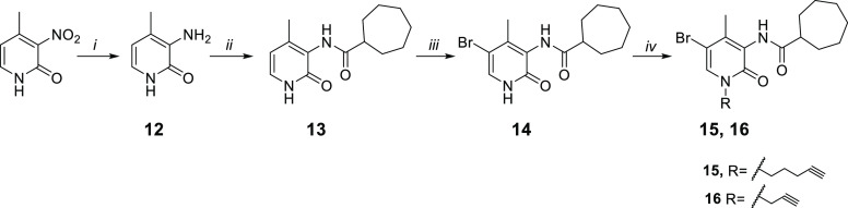 Synthetic Pathway for the Synthesis of the Alkyne Derivatives 15 and 16Reagents and conditions: (i) Fe, NH4Cl, H2O/EtOH 1:2, 80 °C, 3 h. (ii) (a) cycloheptanecarboxylic acid, C2O2Cl2, DMF, rt, 0.5 h (b) NEt3, DCM, DMF, rt, 24 h. (iii) Br2, CHCl3, rt, 12 h. (iv) (a) CsF, DMF, rt, 1 h (b) R-bromide, 30 °C, 12 h.