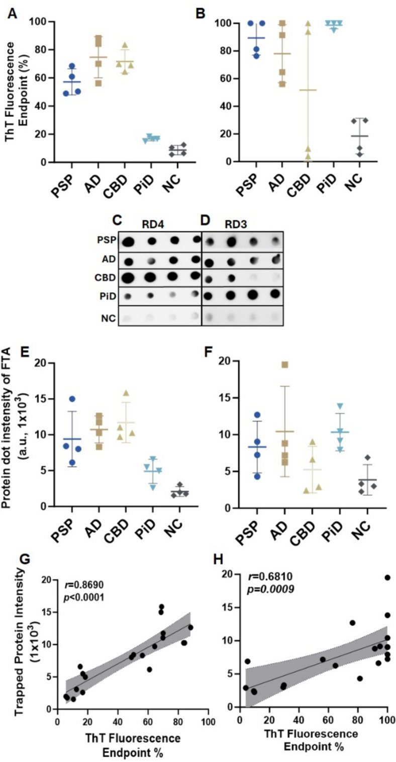 Characterization of RT-QuIC end products of skin tau from tauopathies using filter-trap assay probed with anti-3R (RD3) and anti-4R (RD4) tau antibodies. Scatter plots of ThT fluorescence values skin-tau RT-QuIC end products of selected samples from PSP (n = 4), AD (n = 4), CBD (n = 4), PiD (n = 4) and NC (n = 4), with 4RCF (A) and 3RCF(B) as the substrates. The filter-trap assay (FTA) of 3RCF-/4RCF-based RT-QuIC end products of skin samples from different tauopathies including PSP, AD, CBD, PiD and NC (4 cases/group) probed with RD4 (C) or RD3 (D) antibodies. Quantitative densitometry of FTA-dot blotting with 4RCF- (E) and 3RCF (F) -based RT-QuIC end products from panels (C) and (D). Correlation analysis between FTA-trapped protein dot intensity and skin tau-SA of 4RCF- (G)/3RCF(H) -based RT-QuIC end products
