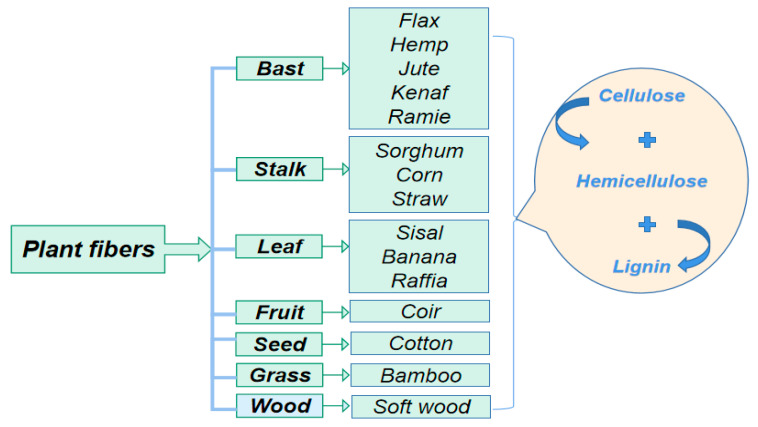 Classification of commonly used PF reinforcements.