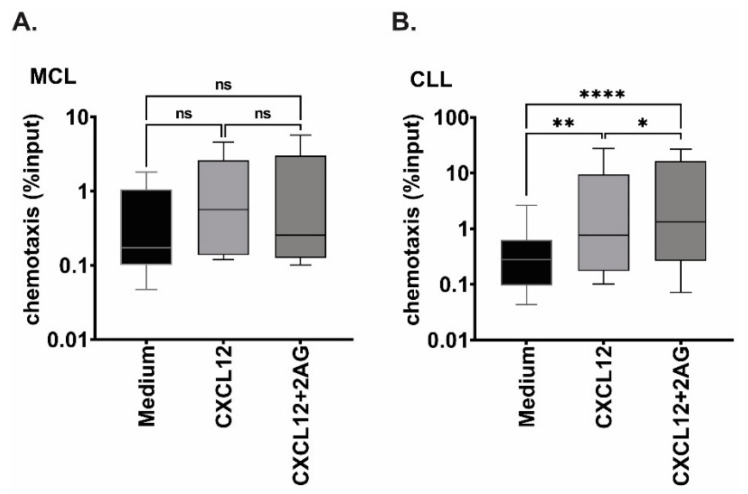 Effect of 2-AG on CXCL12-mediated chemotaxis. (A) MCL (n = 5) and (B) CLL (n = 22) cells were subjected to chemotaxis towards CXCL12 (200 ng/mL) or the combination of 2-AG (100 nM) and CXCL12 (200 ng/mL), number of migrated cells is shown as percentage of input (log10 scale) at 4 h; Friedman test for multiple comparison, ns: non-significant, * p < 0.05, ** p < 0.005, **** p < 0.0001.