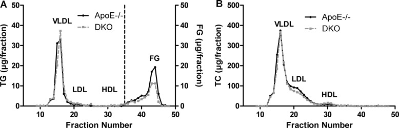 Reduced fasting FG concentrations in DKO miceFPLC analysis of plasma (A) TG and (B) TC of 12 h-fasted ApoE−/− and DKO mice fed WTD for 8 weeks. Data represent a pool of plasma samples (n = 5) per genotype.