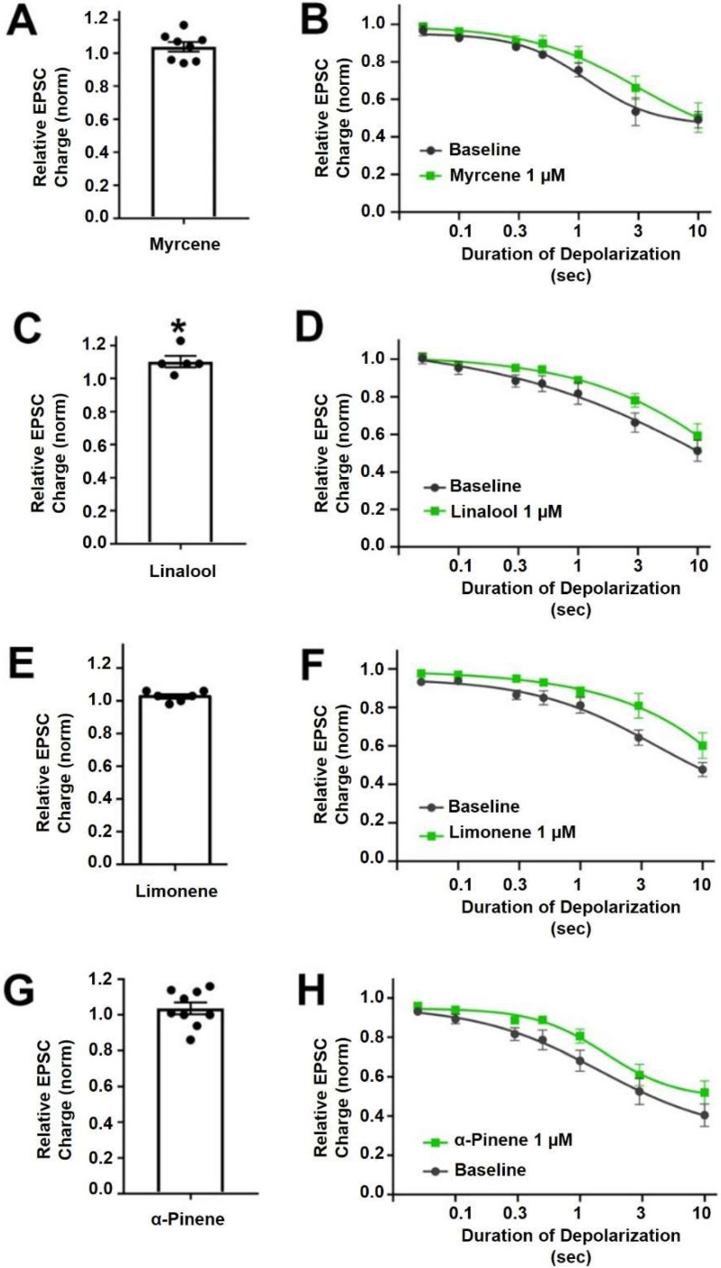 Myrcene, linalool, limonene andα-pinene do not alter cannabinoid signaling in autaptic hippocampal neurons. (A) Myrcene (1 µM) did not alter EPSCs. (B) Myrcene also did not have an effect on DSE responses. (C) Linalool (1 µM) slightly increased EPSCs. (D) However, linalool had no effect on DSE responses. (E) Limonene (1 µM) did not alter EPSC sizes (F) and did not significantly inhibit DSE responses. (G) α-pinene (1 µM) did not alter EPSCs. (H) Similarly α-pinene did not inhibit DSE responses. * p < 0.05 one-sample t-test vs. 1.0 or vs. baseline at 3 s of depolarization. Mean ± SEM shown.