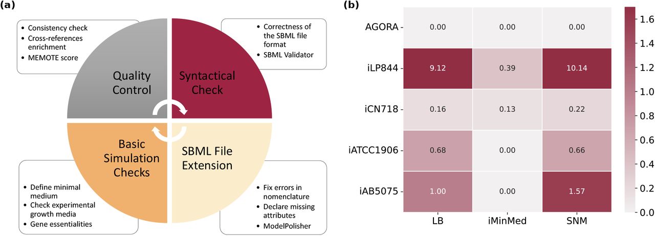 (a) Debugging workflow to curate and evaluate already published models. Following the community standards, the already published A. baumannii models were curated and transformed into re-usable, simulatable, and translatable models. Quality controls and metabolic standardised tests were conducted using Metabolic Model Testing (MEMOTE), while the validity of the file format and syntax were examined with the SBML Validator38. ModelPolisher enhanced the models with missing metadata. (b) In silico-derived growth rates in various media. The respective growth rates of iACB23LX and the empirical growth rates are shown in Table 2.