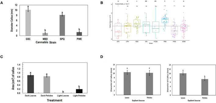 Response of cannabis genotypes to callus development on MM without activated charcoal (MM-AC). (A) Callus diameter of four genotypes developing from 1 cm2 leaf explants. (B) Callus area from leaf explants of 8 cannabis genotypes compared with the mean callus area across all strains (represented by the dotted line). The “*”represents significance level and “ns” represents not significant relationships between each genotype and across all genotype means (dotted line). A Kruskal–Wallis test resulting in a p of 8 × 10−11 and a Games–Howell post-hoc test were performed. Significant differences identified in the Games–Howell post-hoc test are shown using letters above the boxplots of each strain. (C) Growth of Cheesequake (CHQ) callus from leaf and petiole explants after 1 month under 24-h dark and 24-h light conditions on MM. Statistical analysis was performed by Tukey's HSD test with significance at p < 0.05. Bars followed by different letters indicate significant differences. (D) Growth of callus from leaves and petioles of genotype Girl Scout Cookie (GSC) (left) and Space Queen (SPQ) (right). Measurements of diameter were made after 4 weeks. Statistical analysis was performed by Tukey's HSD test with significance at p < 0.05. Bars followed by different letters indicate significant differences.