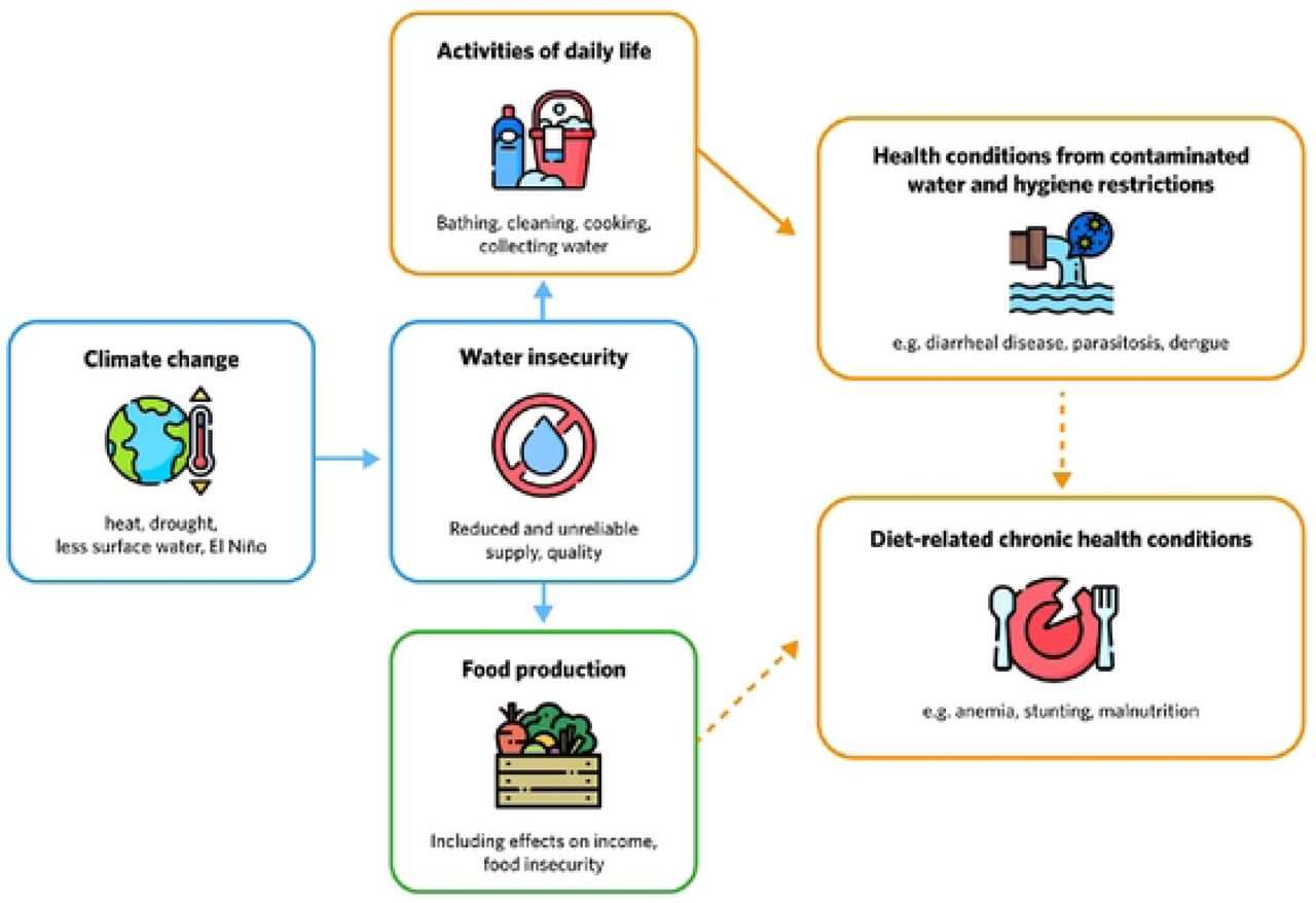 Inter-relationship between climate change, water insecurity, and maternal child health