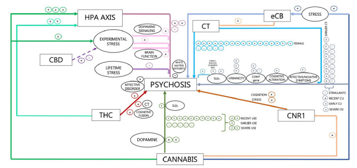 Graphical summary of the alterations in the stress response system and the endocannabinoid system reported in psychosis. Abbreviations: HPA, hypothalamic-pituitary-adrenal; SLEs, stressful life events; CBD, cannabidiol; CT, childhood trauma; eCB, endocannabinoid system; THC, delta-9-tetrahydrocannabinol; CU, cannabis use; COMT, catechol-O-methyltransferase gene; CNR1, cannabinoid receptor 1 gene; +, evidence of effect; -, no evidence of effect; solid line, evidence of disrupting effect; dashed line, evidence of therapeutic effect.