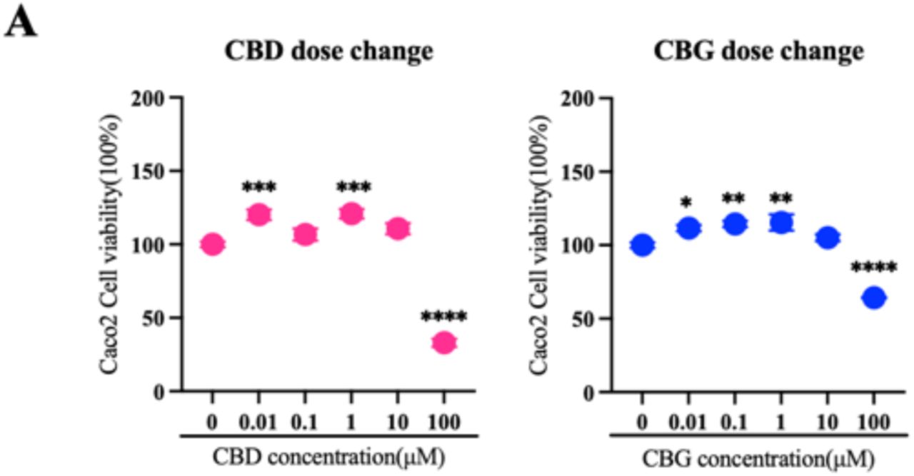 Differential effects of CBD and CBG concentrations on Caco-2 cell viability.(A) Cell viability of Caco-2 cells treated with increasing concentrations of CBD or CBG (0.01, 0.1, 1, 10, and 100 µM). Low concentrations promoted cell proliferation, whereas high concentrations reduced viability, indicating a dose-dependent shift from pro-survival to cytotoxic effects.Cell viability values are normalized to respective DMSO controls. Data represent the mean ± SD of three biological replicates. Statistical significance was determined by one-way ANOVA. P values are indicated as follows: n.s. = P > 0.05; *P ≤ 0.05; **P ≤ 0.01; ***P ≤ 0.001; ****P ≤ 0.0001.