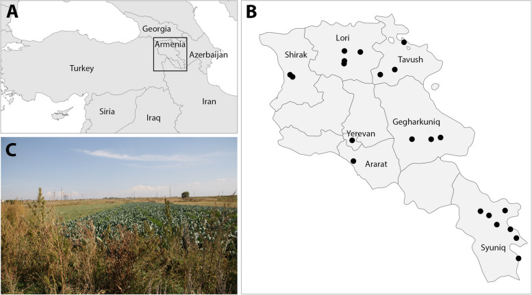 Map of the study area and adjacent countries (A), map of Armenia, with provinces of the ethnobotanical interviews (B) and a typical growing site of Cannabis near Gyumri (C)