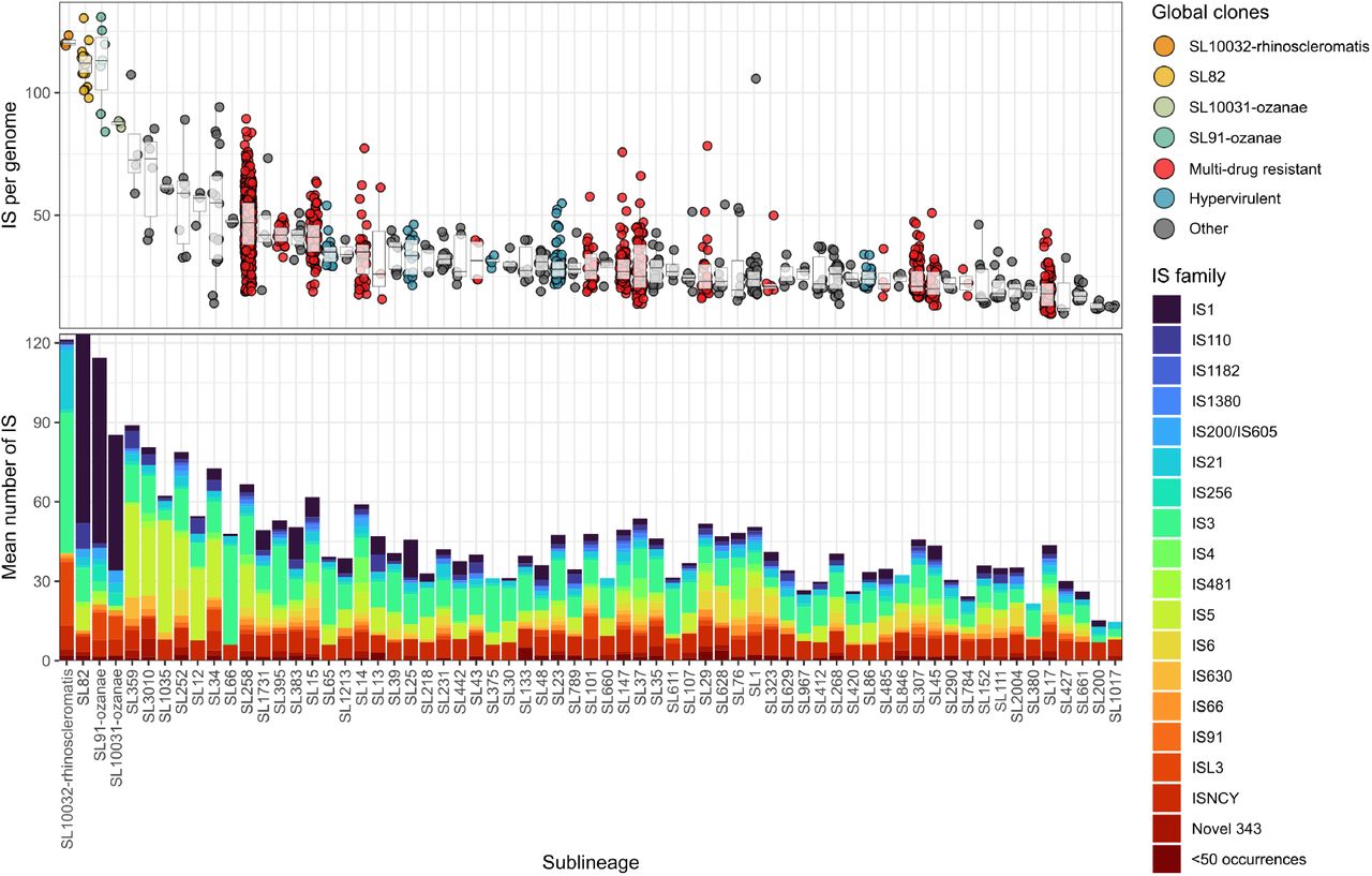 Sub-lineages display significantly different IS loadsDistribution of Insertion Sequences (IS) within 65 K. pneumoniae sub-lineages containing n≥3 complete genomes (n=1,441). The top panel shows the IS per genome while bottom panel shows the breakdown of IS families. Sub-lineages are coloured by their relevant global clone information (60), where each point represents a single genome. ‘<50 occurrences’ refers to IS families which were not shown in this figure due to their low abundance. Significance not shown for brevity - raw data and results of Dunn’s post hoc test in Table S2.