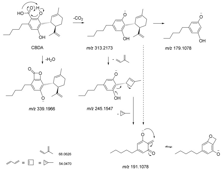 Proposed fragmentation pattern of CBDA compound based on TOF-MS/MS data.