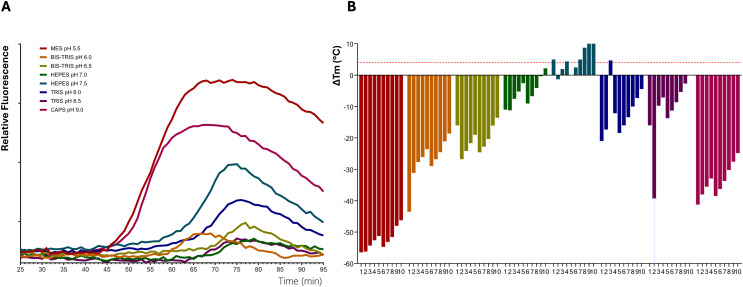 Thermal shift assay for improving protein stability of terpene synthases from Cannabis sativa.(A) Representative thermofluor melt curve for terpinolene synthases from C. sativa (CsTPS37FN). (B) Changes in the unfolding transition temperature (∆Tm) were calculated for each CsTPS protein in 80 buffer conditions. The bars represent the median ∆Tm values. 1. No addition of salt; 2. 50; 3. 100; 4. 200; 5. 50; 6. 100; 7. 200; 8. 50; 9. 100; 10. 200 mM MgCl. A negative ∆Tm value signifies that the buffer destabilises the proteins, and a positive ∆Tm value indicates that the buffer has a stabilising effect. ∆Tm values more than 4 °C are considered significantly stabilising, as indicated by the horizontal dashed red line.