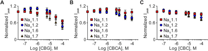 Effects of CBG, CBCA, and CBC on NaV1.1, NaV1.2, NaV1.6 and NaV1.7 peak currents. Normalized mean concentration-response curves for (A) CBG (0.1–100 µM) against NaV1.1 (n = 7), NaV1.2 (n = 8), NaV1.6 (n = 7) or NaV1.7 (n = 7); (B) CBCA (0.1–100 µM) against NaV1.1 (n = 8), NaV1.2 (n = 6), NaV1.6 (n = 10) or NaV1.7 (n = 10); and (C) CBC (0.1–100 µM) against NaV1.1 (n = 7), NaV1.2 (n = 9), NaV1.6 (n = 7) or NaV1.7 (n = 11). Data points are mean ± SEM of independent cells.