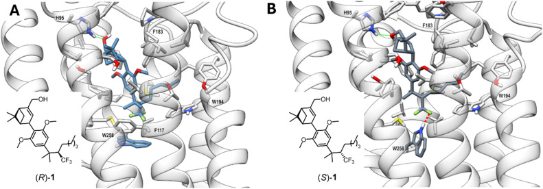 Representative frames from MD simulations of CB2R in complex with CF3-bearing epimers (R)-1 and (S)-1. (R)-1 is colored in steel blue (A), (S)-1 in slate gray (B). A stick representation is used for heavy atoms of the ligand and for protein sidechains within 5 Å of the ligand. Protein backbone atoms are represented as ribbons colored in light gray. Hydrogen, nitrogen, oxygen, and sulfur atoms are colored white, blue, red, and yellow, respectively. A green wire representation is adopted for peripheral H-bonds and a red dash representation for the key interaction in (B).