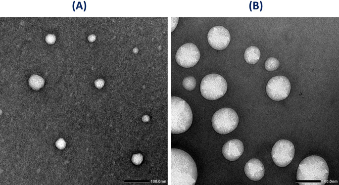 TEM photomicrograph of the fresh optimized ZOL niosomal formulation (Fsp60/6−1:1) (A) and lyophilized (Fsp60/6−1:1) after storage at 4 °C for 6 months (B)