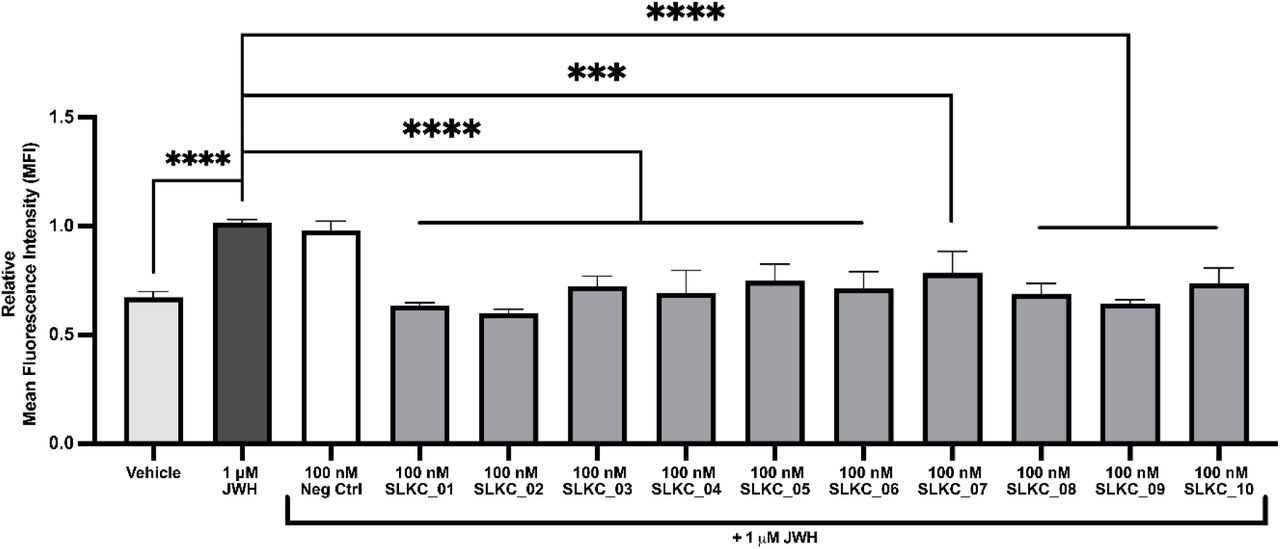 Selektide-mediated attenuation of CB2R-induced ERK phosphorylation assessed by flow cytometry.Intracellular pERK levels were measured by flow cytometry in cells stimulated with the CB2R agonist JWH-133 (1 µM) in the presence or absence of selektide SLKC_01–SLKC_10 (100 nM each). Data is expressed as relative mean fluorescence intensity (MFI), normalised to the 1 µM JWH-133 positive control. A 100 nM negative control peptide co-treated with JWH-133 was included to control for non-specific peptide effects. Bars represent the mean ± SEM of n = 3 independent experiments with n = 3 technical replicates. Statistical significance was determined by unpaired T test comparing each condition to the JWH-133-stimulated control. *** p < 0.001; **** p < 0.0001.