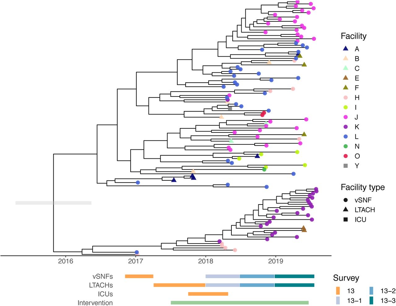 NDM+ ST147 Klebsiella pneumoniae was introduced into the region around 2015.Dated phylogeny generated by bactdating. Grey bar on the root is the lower and upper bounds of the confidence interval. vSNF = ventilator-capable skilled nursing facility. LTACH = long-term acute care hospital, ICU = intensive care unit.