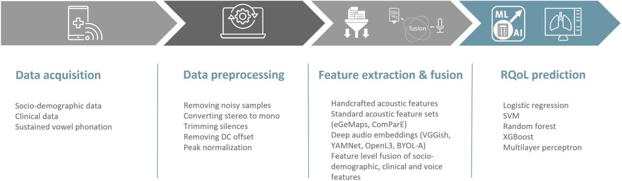 Workflow of RQoL monitoring