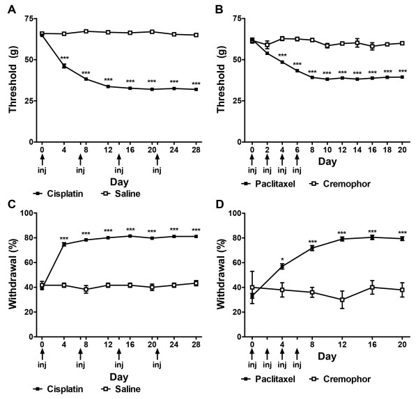 Time course of development of chemotherapy-induced peripheral neuropathy evoked by cisplatin and paclitaxel treatment. Mechanical (A, B) and cold (C, D) allodynia developed following cisplatin (A, C) or paclitaxel (B, D) treatment. Arrows show timing of injections of chemotherapeutic agents. Data are expressed as mean ± SEM (paclitaxel, n = 76; cremophor, n = 5; cisplatin, n = 36; saline, n = 6). ***P < 0.001, **P < 0.01, *P < 0.05 vs. vehicle. Non-chemotherapy controls received saline in lieu of cisplatin (A, C) or cremophor vehicle in lieu of paclitaxel (B, D), repeated measures ANOVA and One-way ANOVA at each time point.