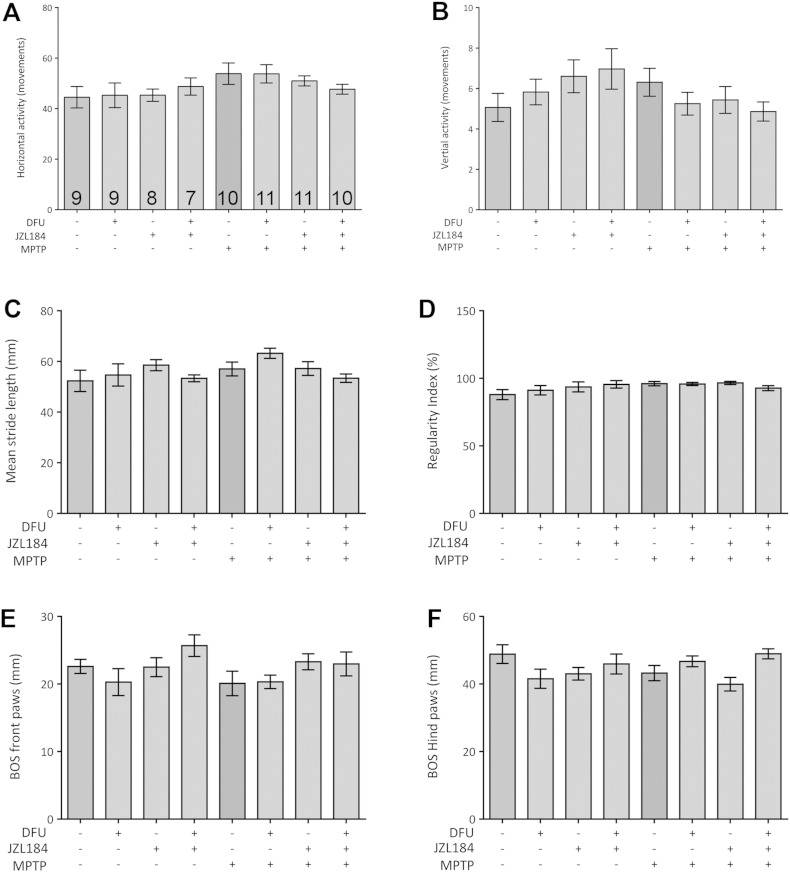 Activity and gait-related parameters were not affected by MPTP. Global activity during 60 min home cage exploration yielded no difference in horizontal (A) or vertical movements (B). Treatment with MPTP, DFU or JZL184 does not affect the mean stride length (C) and the proportion of normal step patterns (D). Similarly, there was no effect on base of support (BOS) from either the front (E) or hind (F) paws. Data are mean ± SEM, n = 7–11 per group.