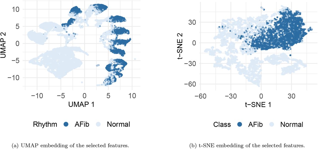 Low-dimensional visualization of the ten selected RRI-based features. (a) UMAP and (b) t-SNE both show that AFib and Normal segments form distinguishable patterns, with AFib samples exhibiting more dispersed and heterogeneous structure due to their irregular RRI dynamics. These visualizations demonstrate that the selected features capture meaningful discriminative information suitable for AFib detection.