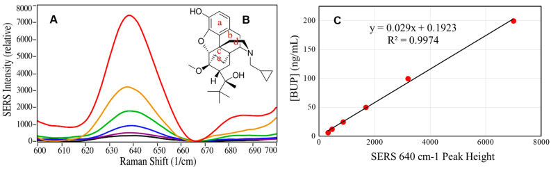 (A) Spectra of buprenorphine 638 cm−1 peak, baseline-corrected at 665 cm−1, in pooled saliva, extracted and reconstituted at 6.25, 12.5, 25, 50, 100, and 200 ng/mL, (B) buprenorphine molecular structure, and (C) plot of buprenorphine concentration as a function of baseline-corrected 638 cm−1 peak heights. Conditions as in Figure 1.