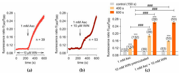 Combined effects of Asc and WIN on intracellular Ca2+ dynamics. The fluorescence ratios were normalized to baseline conditions (control set to 0.1, dashed line). (a) Preincubation with 10 µM WIN followed by treatment with 1 mM Asc at 240 s (n = 39) (arrow) leads to a steady increase in f340/f380 with decreasing slope. (b) Co-treatment with WIN and Asc at 240 s (n = 53) results in a biphasic and steep increase in [Ca2+]i. (c) The diagram presents a statistical analysis of the experiments shown in panels (a,b), compared with the response to 1 mM Asc alone (Figure 1a). Mean values ± SEM are shown at 150 s, 400 s, and 600 s. The numbers in brackets above the columns indicate the number of single cells measured (n). Asterisks (*) indicate statistical significance in paired data (*** p < 0.001), whereas hashtags (#) indicate statistical significance in unpaired data (### p < 0.001). Statistical significance was defined as p < 0.05.