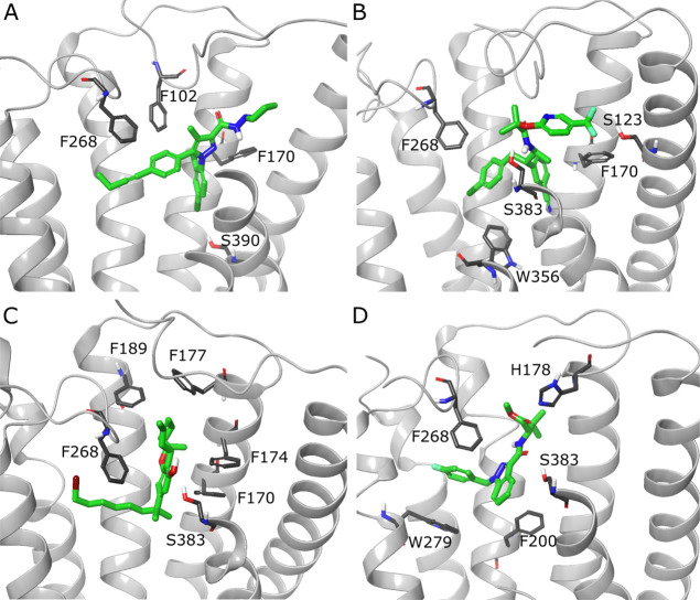CB1 binding sites with ligands from four chemotypes present in PDB-deposited CB1 structures. Complexes with antagonists/inverse agonists: (A) CB1-AM-6538 (PDB ID: 5TGZ), (B) CB1-taranabant (PDB ID: 5U09). Complexes with agonists: (C) CB1-AM-11542 (PDB ID: 5XRA), (D) CB1-MDMB-Fubinaca (PDB ID: 6N4B). Ligands are depicted in green stick representation, amino acids that are crucial or could take part in ligand binding—grey stick representation. Parts of TM6 and TM7 not shown to increase readability.